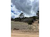 47 White Cloud Dr - Photo 19