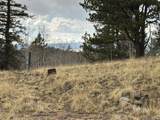 287 Warclub Ct - Photo 11