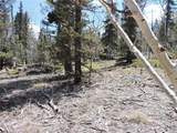 544 Chippewa Rd - Photo 35