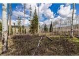 18 Sky Hitch IV - Photo 9