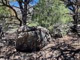 563 Prospector's Point Overlook - Photo 8