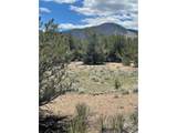12510 Country Meadow Ln - Photo 10