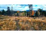 448 Wagon Mesa Loop - Photo 21