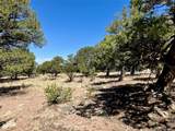 4445 Rarity Way - Photo 2
