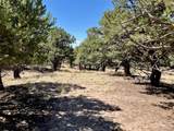 4445 Rarity Way - Photo 5