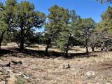 4445 Rarity Way - Photo 9