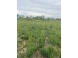 3233 County Road 19 - Photo 3
