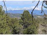 43 Spanish Bit Dr - Photo 2