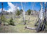  Tbd Pine Valley Rd - Photo 30