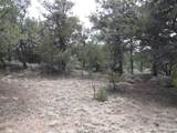 4186 Caprice Way - Photo 15