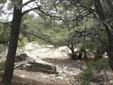 4186 Caprice Way - Photo 4