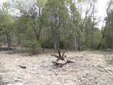 4186 Caprice Way - Photo 6