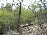 4186 Caprice Way - Photo 7