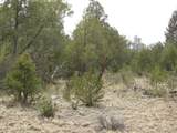 4186 Caprice Way - Photo 9