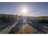 0 Fs Road 185E - Photo 10