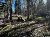2652 Petito Dr - Photo 9