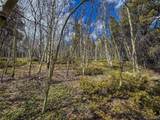  Buckeye Gulch Rd - Photo 3