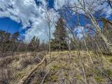  Buckeye Gulch Rd - Photo 6