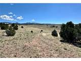 349 Navajo Rd - Photo 13