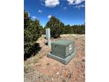 349 Navajo Rd - Photo 15