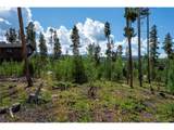 335 Moose Trl - Photo 12