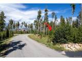 335 Moose Trl - Photo 14