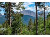 335 Moose Trl - Photo 2