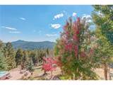 28154 Belle Mont Trl - Photo 44