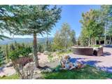 28154 Belle Mont Trl - Photo 45