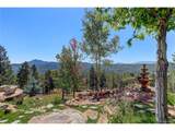 28154 Belle Mont Trl - Photo 46