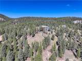28154 Belle Mont Trl - Photo 48