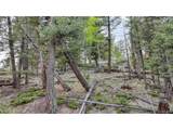 918 Pinon Ln - Photo 10
