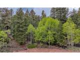 918 Pinon Ln - Photo 26