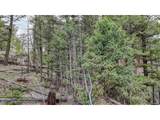 918 Pinon Ln - Photo 9