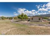 246 Loop Dr - Photo 11