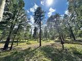 30385 National Forest Dr - Photo 14