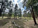 30385 National Forest Dr - Photo 17