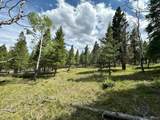 30385 National Forest Dr - Photo 18