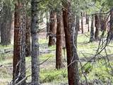 30385 National Forest Dr - Photo 19