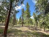 30385 National Forest Dr - Photo 4