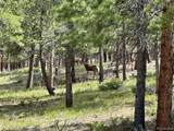 30385 National Forest Dr - Photo 6