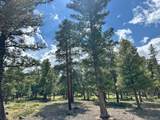 30385 National Forest Dr - Photo 9