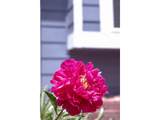 8977 Toller Ave - Photo 32