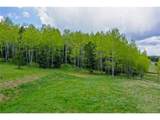 10955 Grenadier Rd - Photo 38