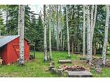 10955 Grenadier Rd - Photo 39