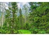 10955 Grenadier Rd - Photo 40
