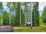 10955 Grenadier Rd - Photo 41