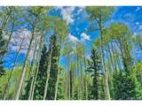 10955 Grenadier Rd - Photo 42