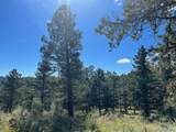  Tbd Barney Gulch Rd - Photo 11