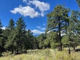  Tbd Barney Gulch Rd - Photo 7